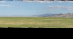 Carrizo Plain