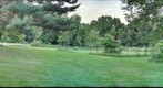 Red Harrrow and Green Grass