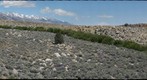 Lone Pine Creek