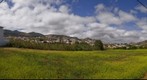 Paseo de Florian. Teror. Isla de Gran Canaria