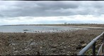 Whitley Bay