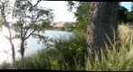 Del Valle Marsh