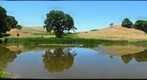 June Pond