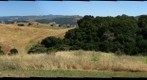 View from Jeff' and Roberta's Yard