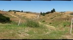 Back Yard View