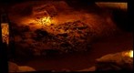 Victoria Fossil Cave, Naracoorte, South Australia