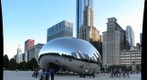 chicago brighter bean