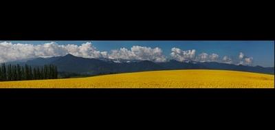 52092-400x189