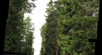 Woodland Cemetery; Stockholm, Sweden