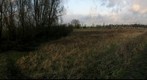 Rhine winter dike by Wageningen