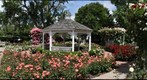 Rose Garden, Southampton, Hamptons, New, York