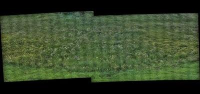 52277-400x189