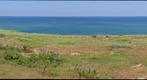 Marconi National Seashore