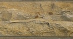 Cretaceous Seafloor