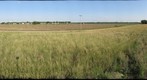7)09-07-31 WhtGr_CMBeta11
