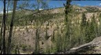 Slumgullion Earthflow