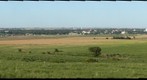 Hays, Kansas, Summer 2010