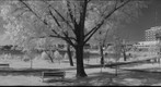 Rouyn-Noranda Parc Osisko 2010
