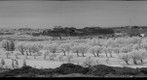 club de golf noranda,infra red ,juin 2010