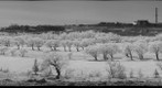 club de golf noranda,ir photo