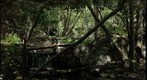 2 waterfalls in Sequoia