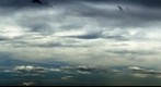 Clouds #1