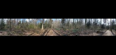 52983-400x189