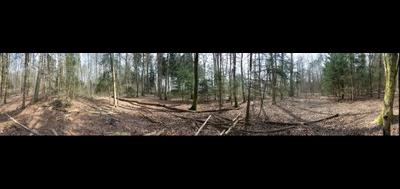 52990-400x189