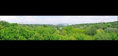 52995-400x189