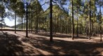 Llanos de la Pez, Tejeda. Isla de Gran Canaria
