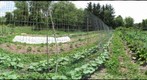 Churchview Farm