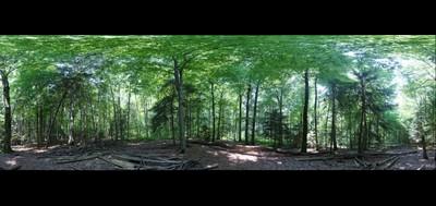 53044-400x189