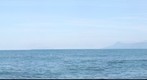 Praia da Cocanha