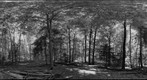 Forest #12 Variation 6