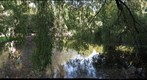 In Frederiksberg Park