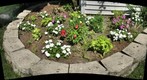 Back Flowers 