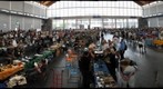 HAM-Radio (2010) A3