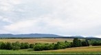 Green Hills and Mountains of Bukovina