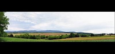 53544-400x189