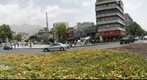 Tajrish Square, North of Tehran, Iran (2) 