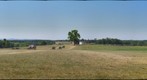 Henry House Hill - Bull Run (Manassas) Battlefield