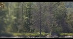 Lac Millette