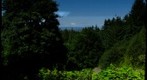 Hoyt Arboretum View of Mt St Helens & Mt Rainier