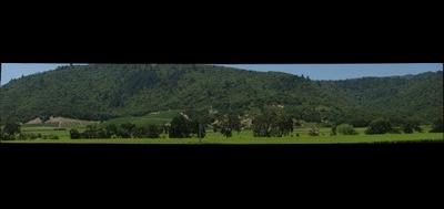 53874-400x189