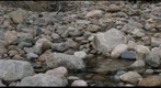 afternoontest-fancreek-may222008
