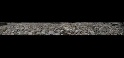 5394-400x189