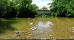The Black (Pugh's Mill) Covered Bridge - Four Mile Creek Oxford Ohio 