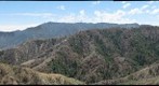 Mount Wilson (1)