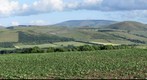 GP90  The Cheviot Hills from Scotland