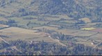 Tartera (01)